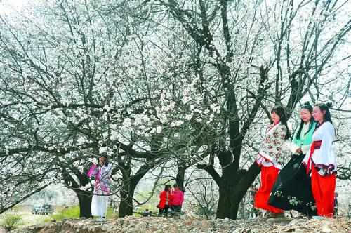 小七手游官方正版 banner